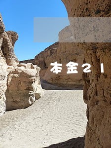 本金21万逾期三个月 本金21万逾期三个月