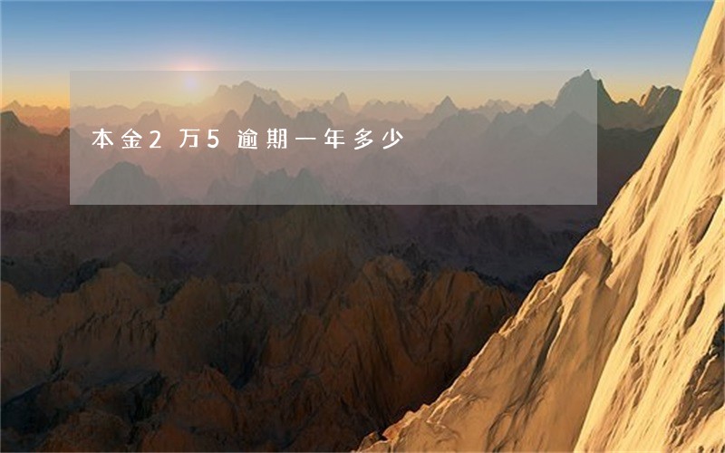 本金2万5逾期一年多少