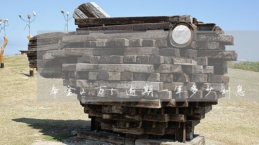 本金2万5逾期一年多少利息 本金2万5逾期一年多少利息