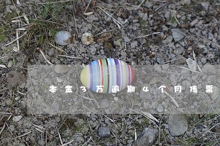 本金3万逾期4个月传票为证