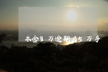 本金3万逾期后5万多 本金3万逾期后5万多