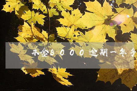 本金8000逾期一年多 本金8000逾期一年多