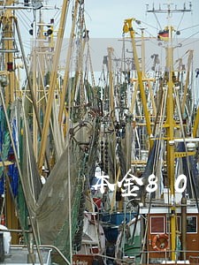 本金8000逾期三年 本金8000逾期三年