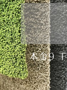本金9千逾期两年需要还多少 本金9千逾期两年需要还多少