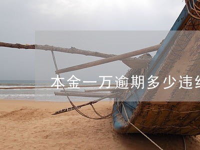 本金一万逾期多少违约金 本金一万逾期多少违约金