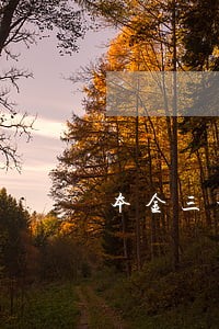 本金三千多逾期三年要还九千多 本金三千多逾期三年要还九千多