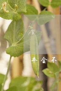 本金不到1万逾期 本金不到1万逾期