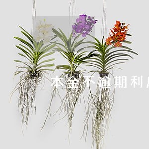 本金不逾期利息逾期罚息 本金不逾期利息逾期罚息
