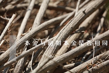 本金与逾期本金是否相同 本金与逾期本金是否相同
