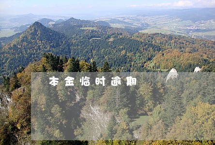 本金临时逾期 本金临时逾期