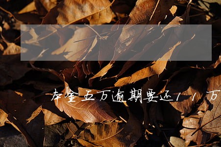 本金五万逾期要还11万