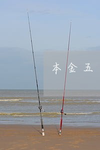 本金五千逾期多久能到六万 本金五千逾期多久能到六万
