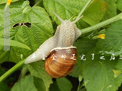本金全部还完了之后逾期了怎么办 本金全部还完了之后逾期了怎么办