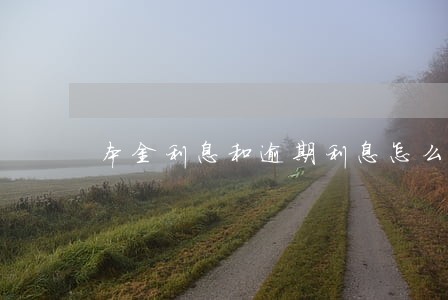 本金利息和逾期利息怎么计算 本金利息和逾期利息怎么计算