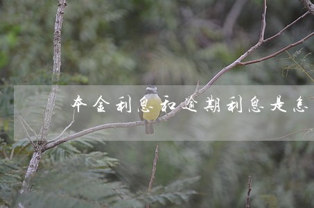 本金利息和逾期利息是怎么回事