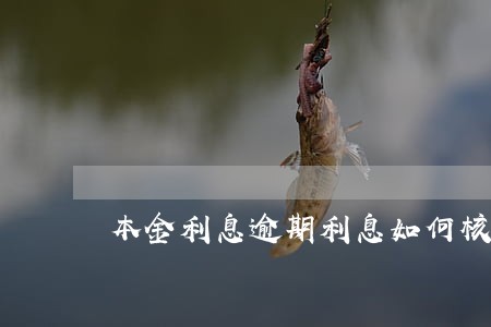 本金利息逾期利息如何核算 本金利息逾期利息如何核算