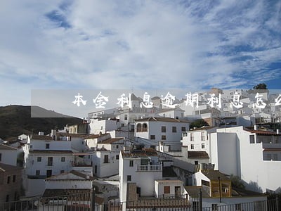 本金利息逾期利息怎么扣除