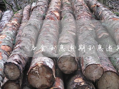 本金利息逾期利息逾期罚金 本金利息逾期利息逾期罚金