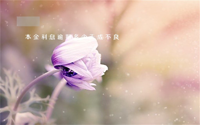 本金利息逾期多少天成不良 本金利息逾期多少天成不良