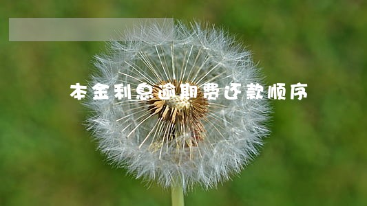 本金利息逾期费还款顺序 本金利息逾期费还款顺序