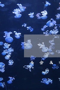 本金及逾期 本金及逾期