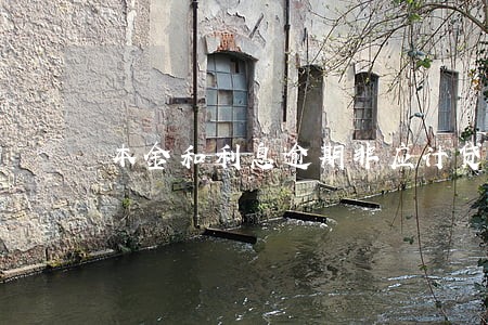 本金和利息逾期非应计贷款 本金和利息逾期非应计贷款