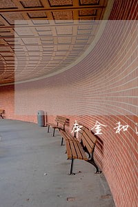 本金和逾期什么意思 本金和逾期什么意思