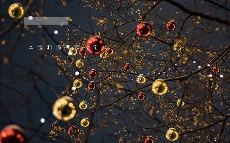 本金和逾期怎么定义