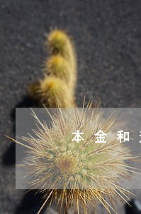 本金和逾期本金是什么意思 本金和逾期本金是什么意思
