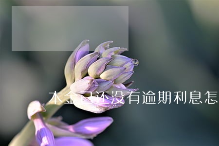 本金已还没有逾期利息怎么算 本金已还没有逾期利息怎么算