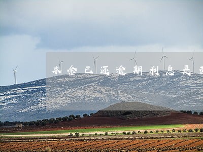 本金已还逾期利息是否有效