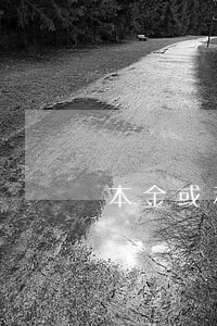 本金或利息出现逾期 本金或利息出现逾期