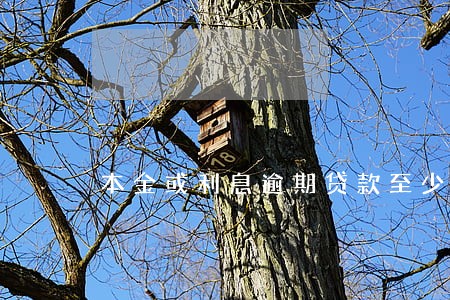 本金或利息逾期贷款至少归为 本金或利息逾期贷款至少归为