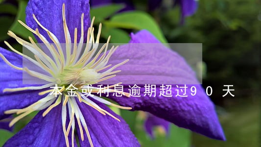本金或利息逾期超过90天 本金或利息逾期超过90天