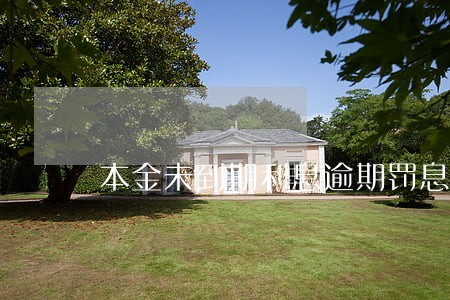 本金未到期利息逾期罚息 本金未到期利息逾期罚息
