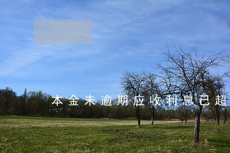 本金未逾期应收利息已超过 本金未逾期应收利息已超过