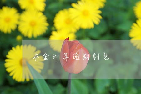 本金计算逾期利息 本金计算逾期利息