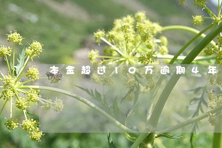 本金超过10万逾期4年 本金超过10万逾期4年
