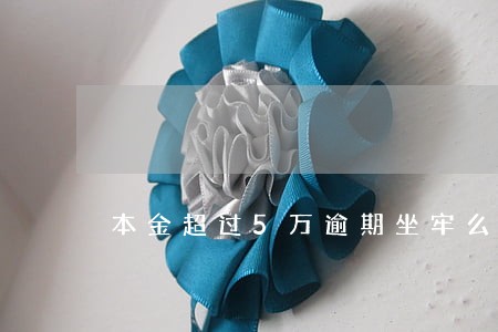 本金超过5万逾期坐牢么 本金超过5万逾期坐牢么