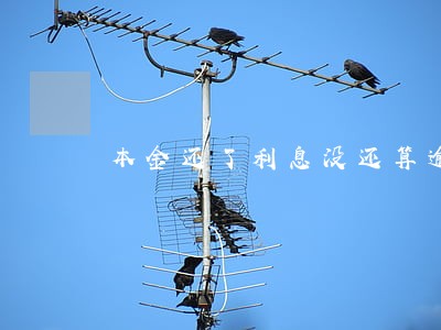 本金还了利息没还算逾期 本金还了利息没还算逾期