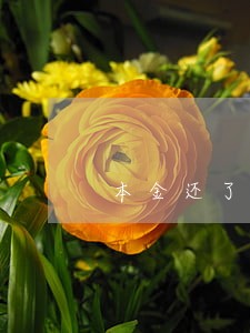 本金还了利息逾期 本金还了利息逾期