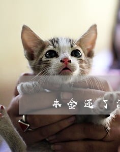 本金还了没还利息逾期利息怎么算 本金还了没还利息逾期利息怎么算