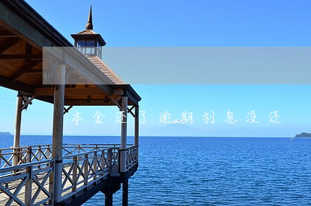 本金还了逾期利息没还 本金还了逾期利息没还