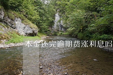 本金还完逾期费涨利息吗 本金还完逾期费涨利息吗