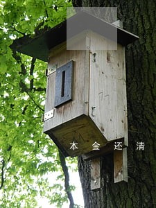 本金还清的逾期利息没还清 本金还清的逾期利息没还清