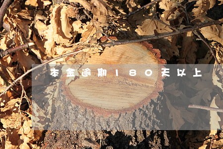 本金逾期180天以上 本金逾期180天以上