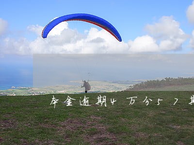 本金逾期4万分57期 本金逾期4万分57期