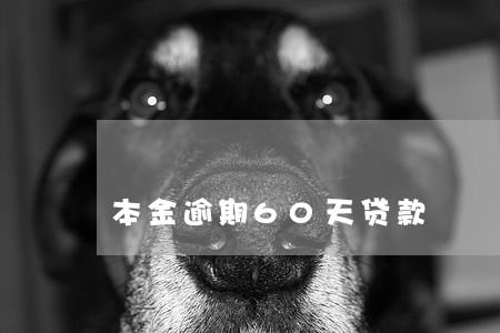 本金逾期60天贷款 本金逾期60天贷款