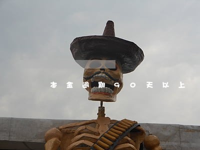 本金逾期90天以上 本金逾期90天以上
