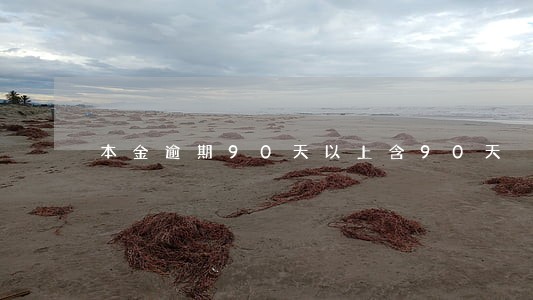 本金逾期90天以上含90天 本金逾期90天以上含90天